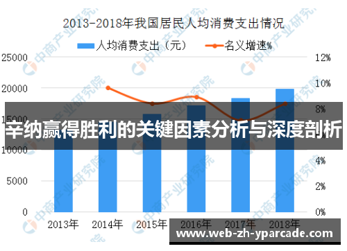 辛纳赢得胜利的关键因素分析与深度剖析