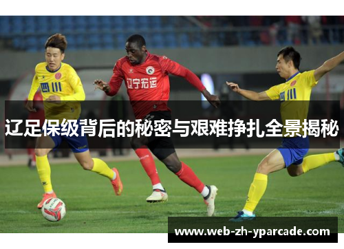 辽足保级背后的秘密与艰难挣扎全景揭秘 辽足保级背后的秘密与艰难挣扎全景揭秘