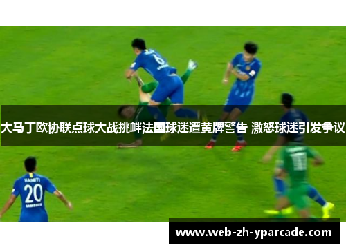 大马丁欧协联点球大战挑衅法国球迷遭黄牌警告 激怒球迷引发争议