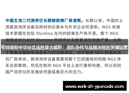 韦特领衔中华台北战胜蒙古解析：团队协作与战略决胜的关键因素