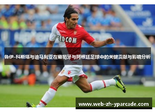 鲁伊-科斯塔与迪马利亚在葡萄牙与阿根廷足球中的关键贡献与影响分析